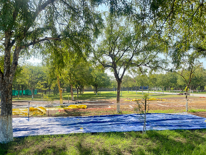 Amla & Moringa Processing